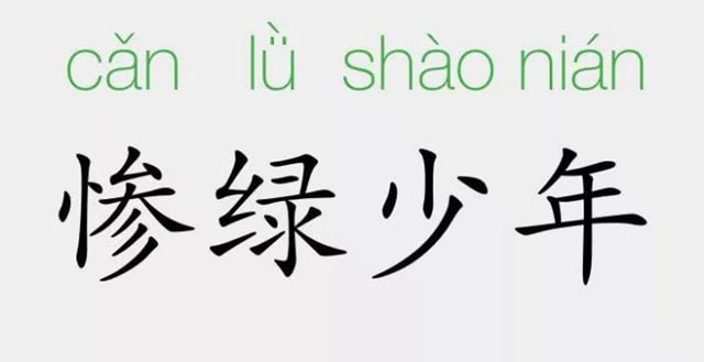 「成语故事」惨绿少年
