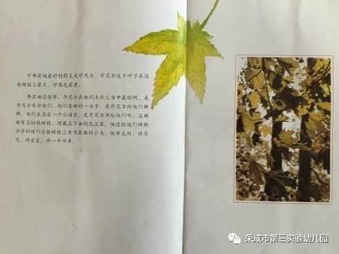 一片叶子落下来