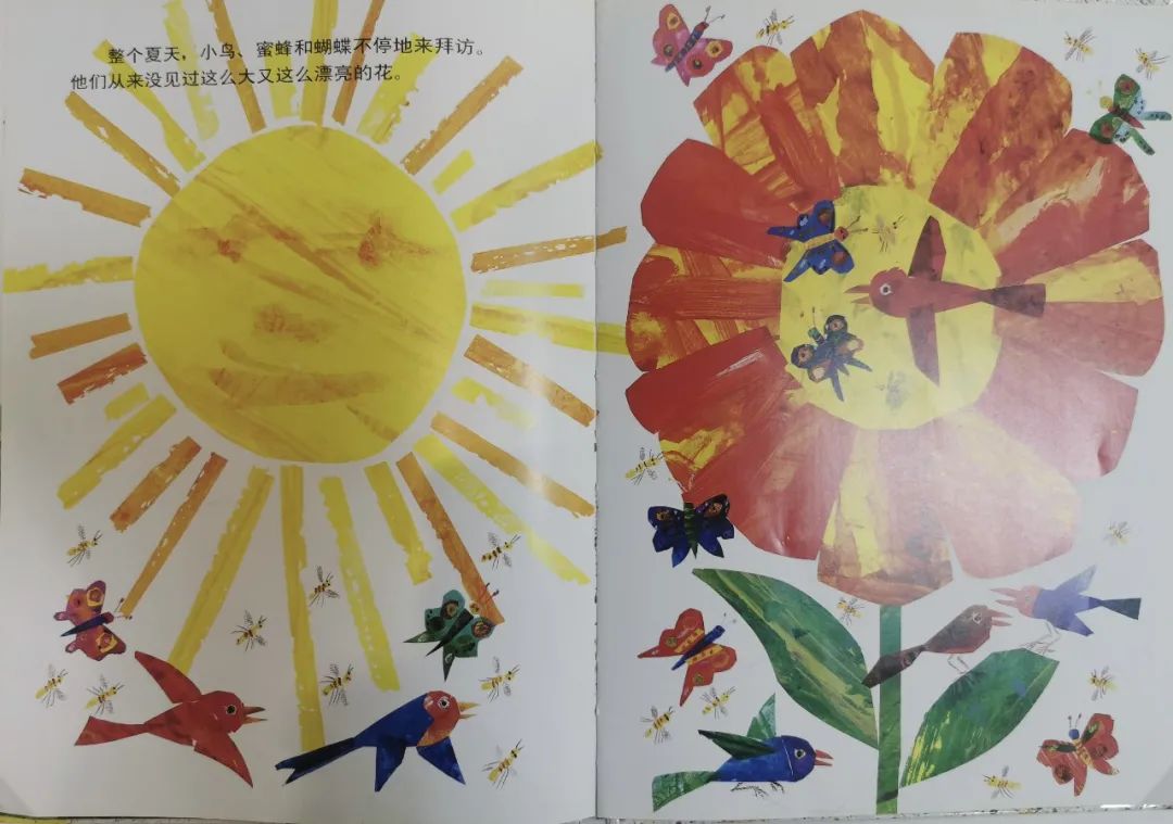 儿童生命教育绘本故事《小种子》插图14 儿童生命教育绘本故事《小种子》