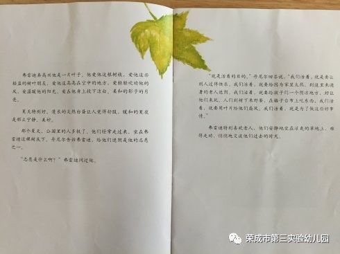 一片叶子落下来