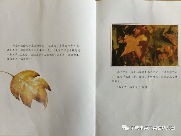 生命教育绘本故事《一片叶子落下来》
