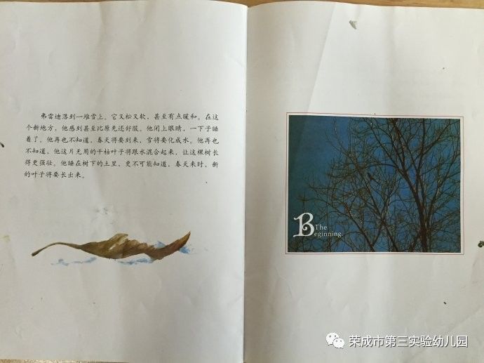 生命教育绘本故事《一片叶子落下来》