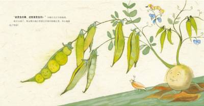 五颗小豌豆