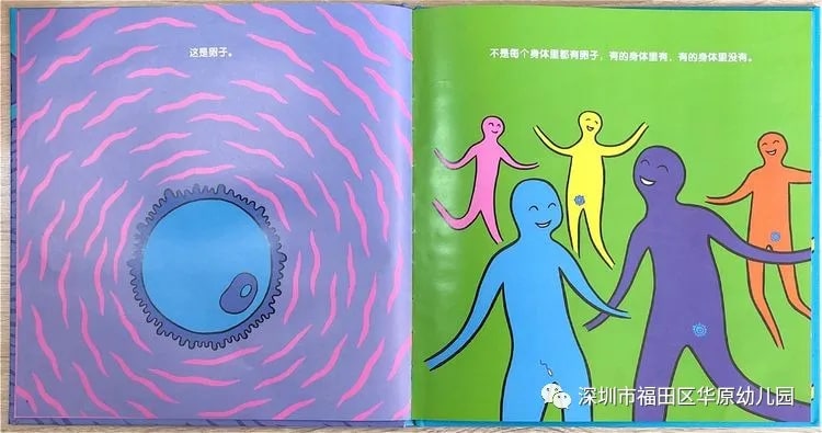 儿童性教育启蒙绘本《我从哪里来》插图2 儿童性教育启蒙绘本《我从哪里来》