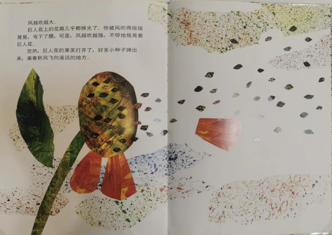 儿童生命教育绘本故事《小种子》插图16 儿童生命教育绘本故事《小种子》