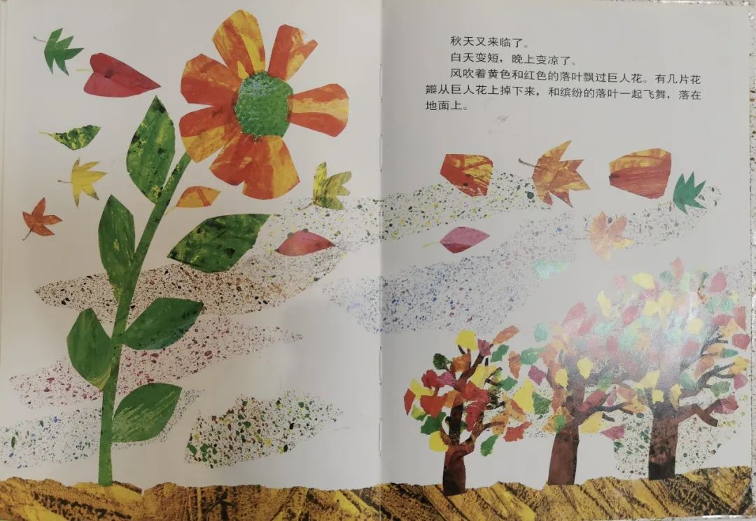 儿童生命教育绘本故事《小种子》插图15 儿童生命教育绘本故事《小种子》