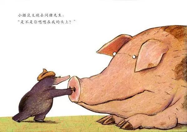 是谁嗯嗯在我的头上插图13 是谁嗯嗯在我的头上