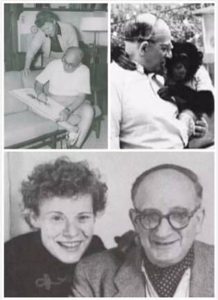 《好奇的乔治》阿甘正传中的经典绘本