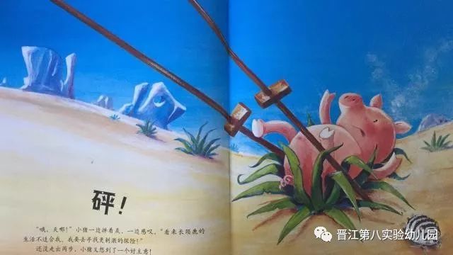 《小猪变形记》绘本故事