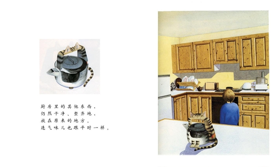 《小凯的家不一样了》一切只因二宝的到来