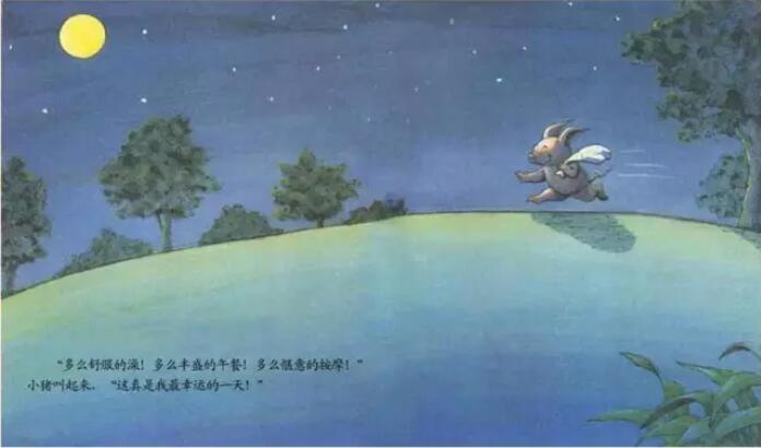 绘本故事《我的幸运一天》插图15 绘本故事《我的幸运一天》