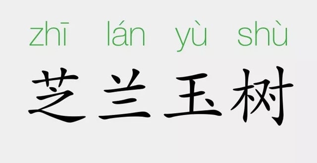 「成语故事」芝兰玉树插图 「成语故事」芝兰玉树
