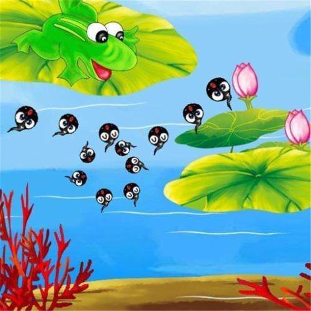 儿童绘本故事《小蝌蚪找妈妈》插图12 儿童绘本故事《小蝌蚪找妈妈》