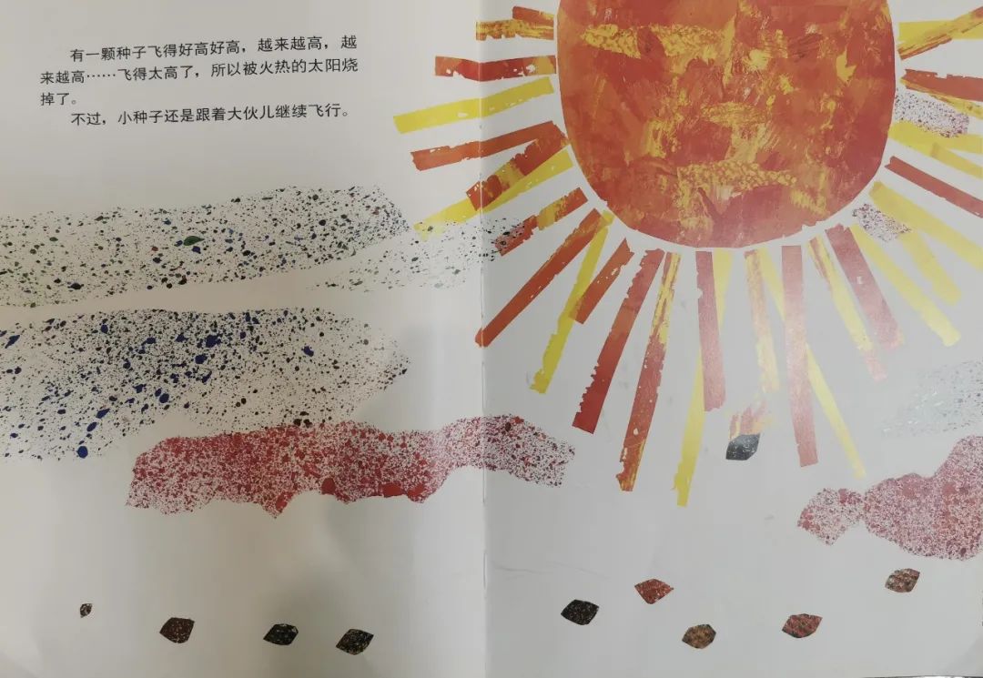 儿童生命教育绘本故事《小种子》插图3 儿童生命教育绘本故事《小种子》