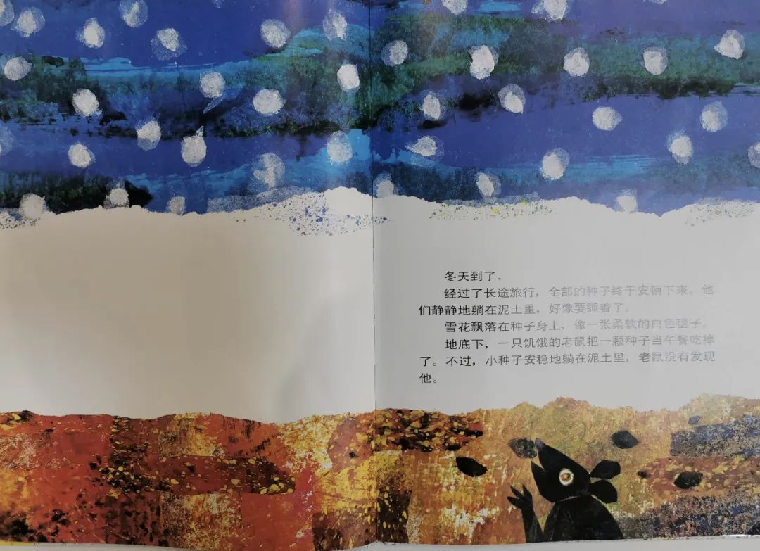 儿童生命教育绘本故事《小种子》插图8 儿童生命教育绘本故事《小种子》