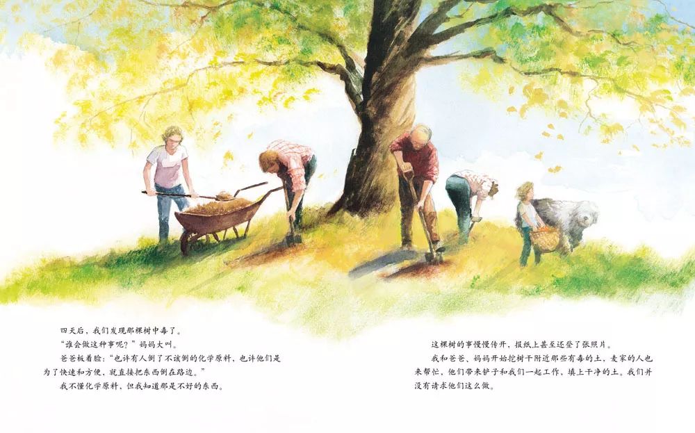 儿童绘本故事《艾莉丝的树》插图8 儿童绘本故事《艾莉丝的树》