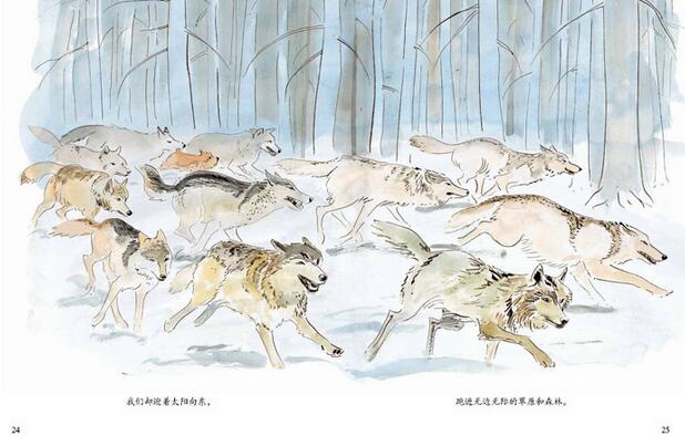《红狼》绘本故事