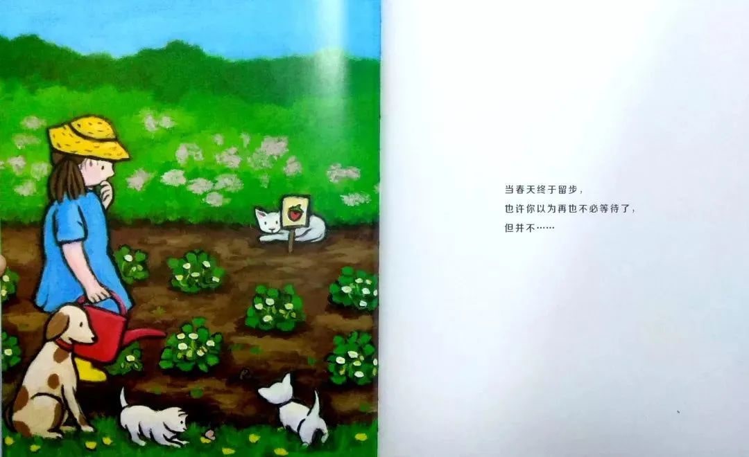 绘本故事《当春天来临》教孩子认识春天插图15 绘本故事《当春天来临》教孩子认识春天