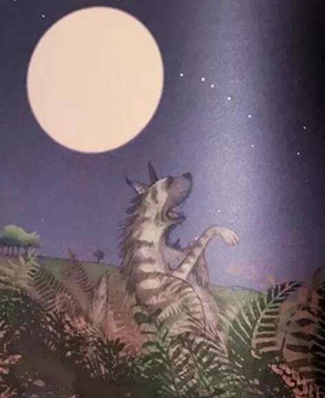 《小野人》尊重孩子兴趣、激发孩子创造力的绘本