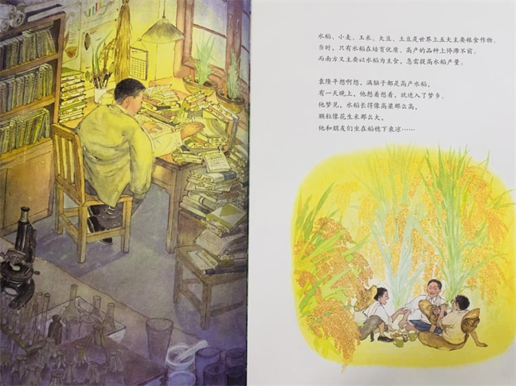 袁隆平的故事《一粒种子改变世界绘本》插图6 袁隆平的故事《一粒种子改变世界绘本》
