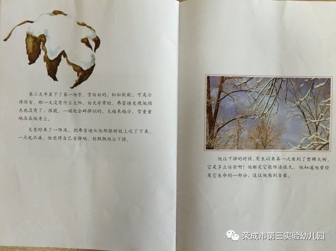 生命教育绘本故事《一片叶子落下来》