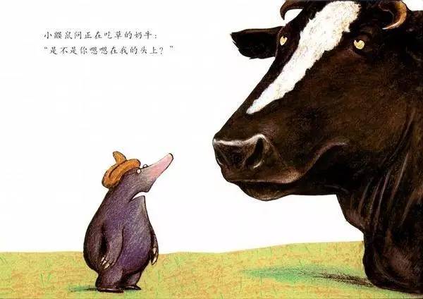 儿童绘本推荐《是谁嗯嗯在我的头上》插图11 儿童绘本推荐《是谁嗯嗯在我的头上》