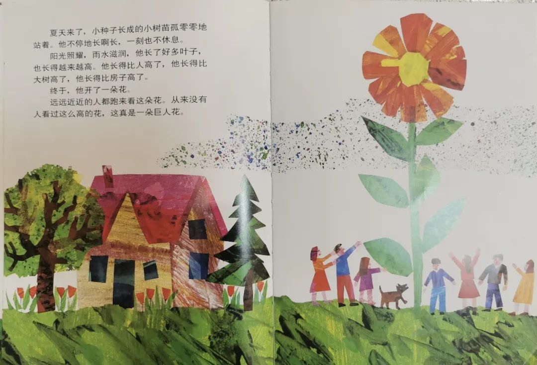 儿童生命教育绘本故事《小种子》插图13 儿童生命教育绘本故事《小种子》