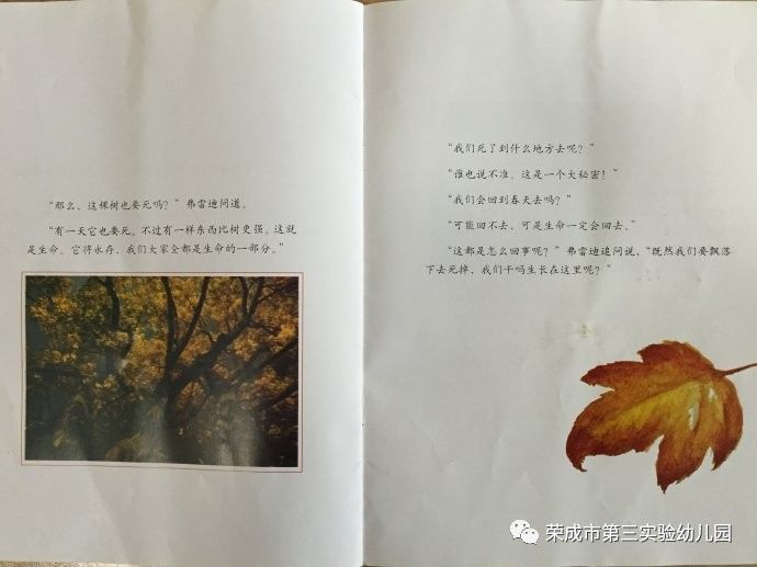 生命教育绘本故事《一片叶子落下来》