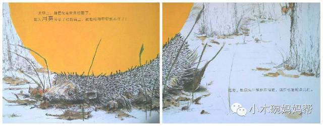 亲子阅读绘本故事《松鼠先生和月亮》