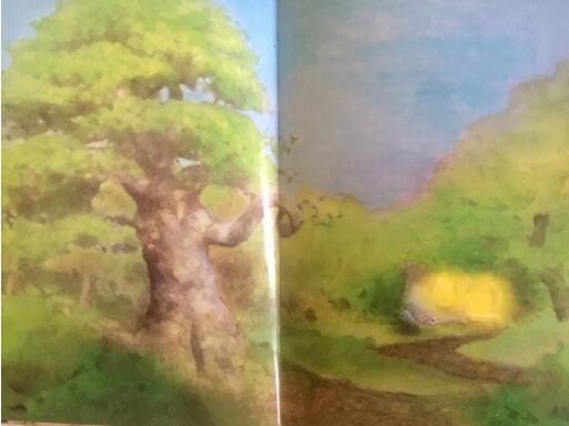 《愿望树》：母爱比愿望树更神奇