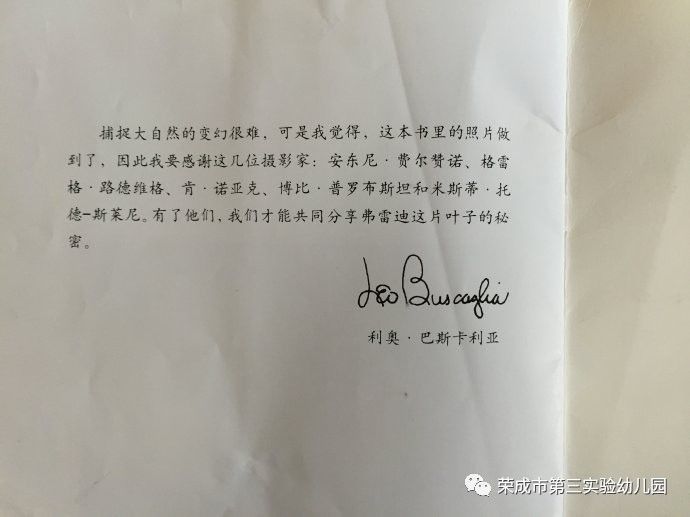 一片叶子落下来