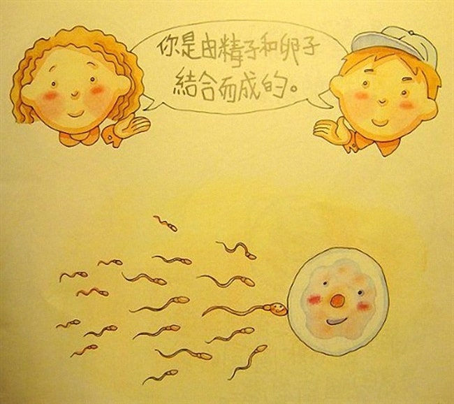 香港幼儿性教育绘本《我从哪里来》