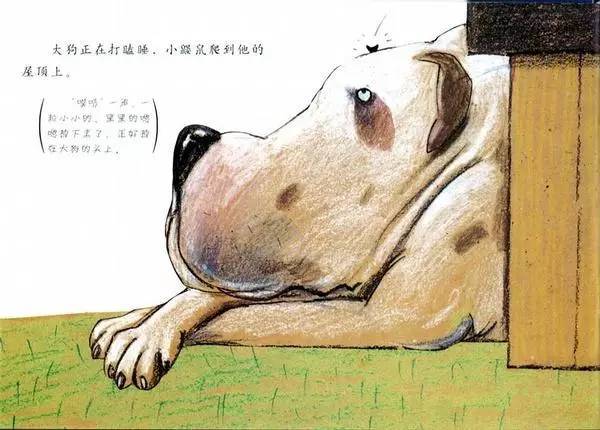 是谁嗯嗯在我的头上插图19 是谁嗯嗯在我的头上