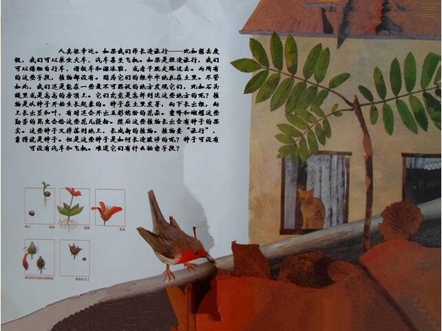 绘本故事《一粒种子的旅行》神奇的大自然