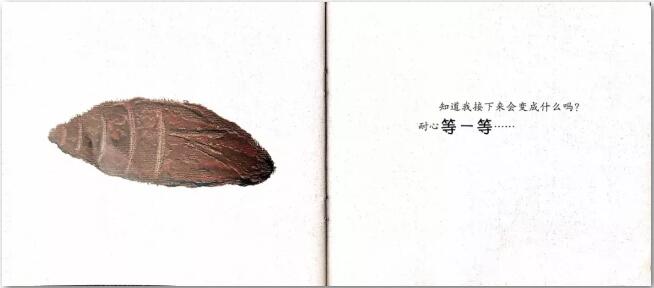 《猜猜我是谁》绘本故事