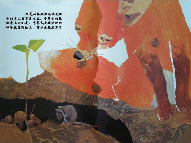 绘本故事《一粒种子的旅行》神奇的大自然