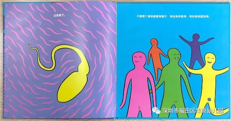 儿童性教育启蒙绘本《我从哪里来》插图4 儿童性教育启蒙绘本《我从哪里来》