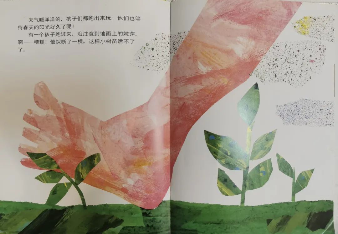 儿童生命教育绘本故事《小种子》插图10 儿童生命教育绘本故事《小种子》