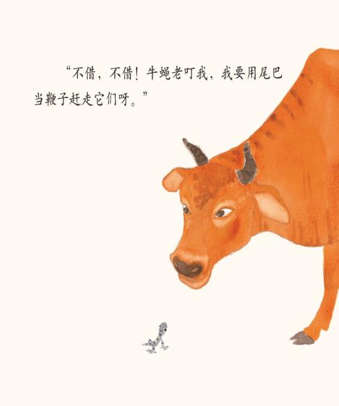 小壁虎借尾巴绘本故事插图9 小壁虎借尾巴绘本故事