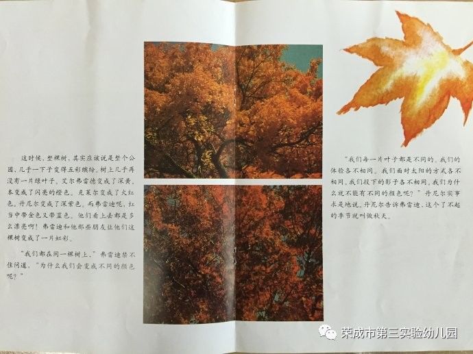 生命教育绘本故事《一片叶子落下来》