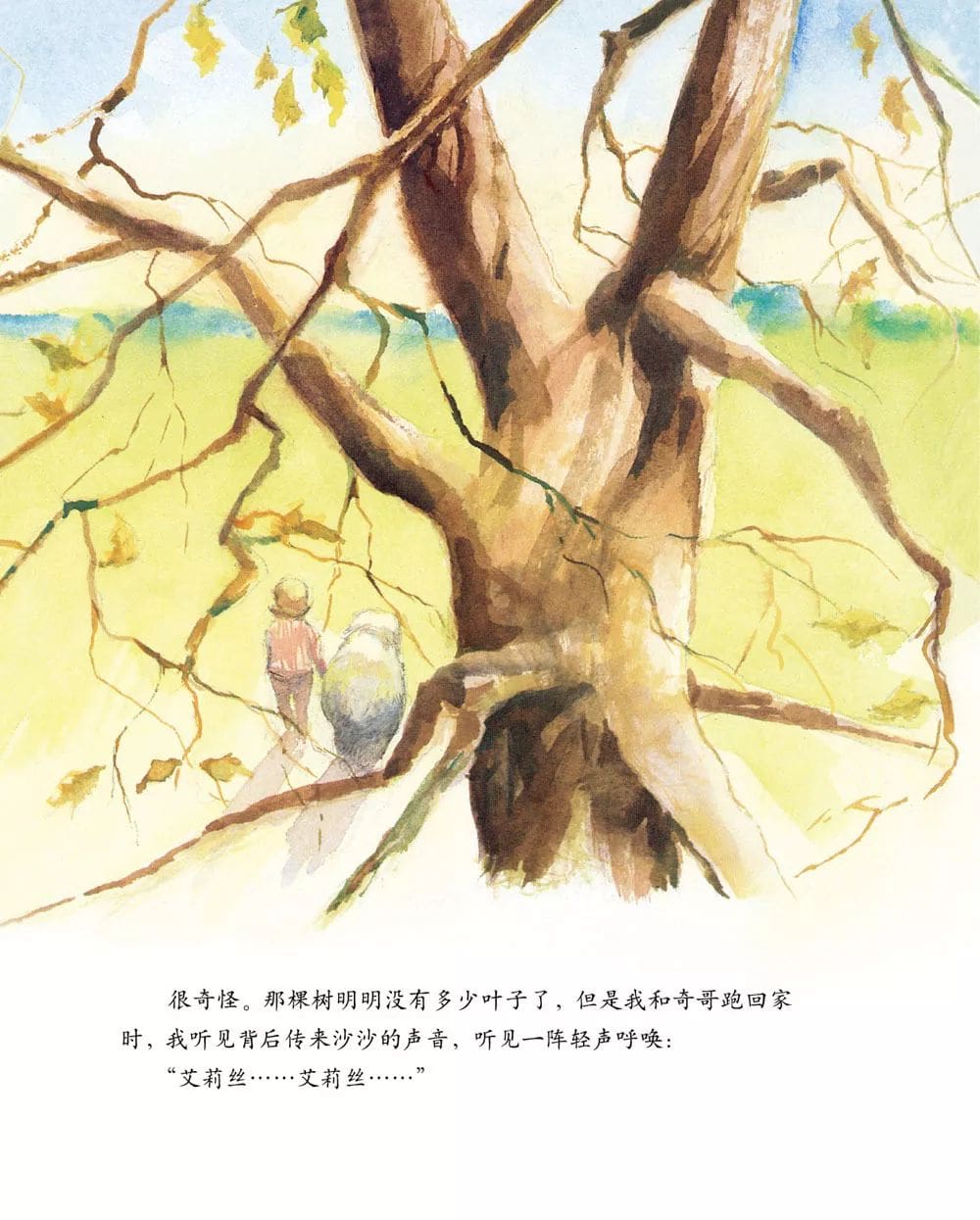 儿童绘本故事《艾莉丝的树》插图16 儿童绘本故事《艾莉丝的树》