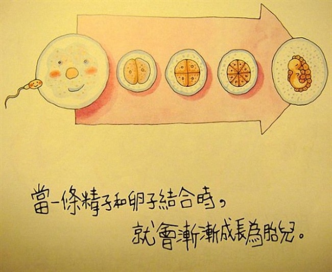 香港幼儿性教育绘本《我从哪里来》