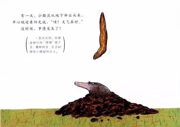 儿童绘本推荐《是谁嗯嗯在我的头上》插图1 儿童绘本推荐《是谁嗯嗯在我的头上》