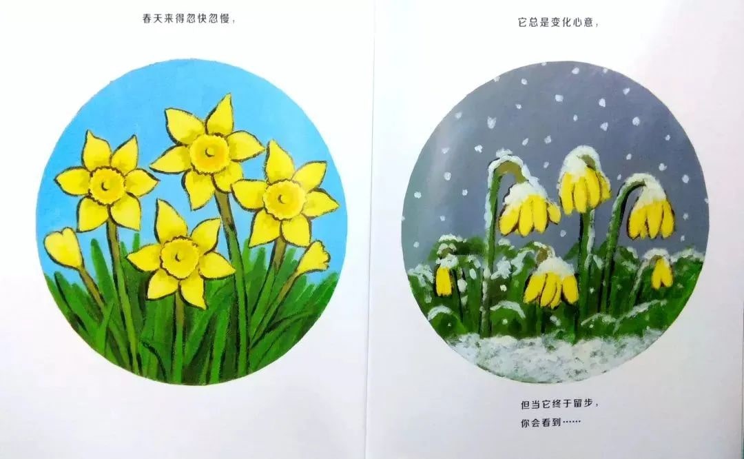 绘本故事《当春天来临》教孩子认识春天插图11 绘本故事《当春天来临》教孩子认识春天