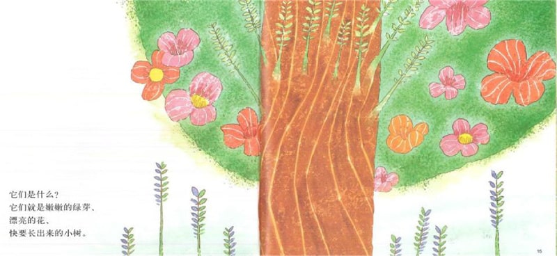 春天的故事绘本《花园里有什么》插图9 春天的故事绘本《花园里有什么》