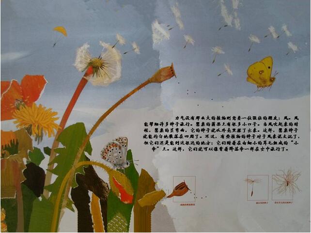 绘本故事《一粒种子的旅行》神奇的大自然