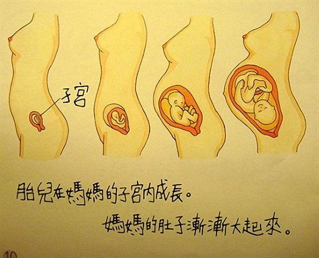 香港幼儿性教育绘本《我从哪里来》