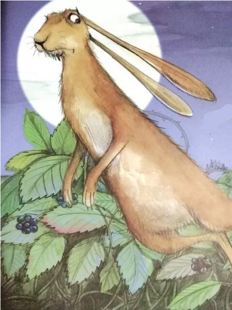 《小野人》尊重孩子兴趣、激发孩子创造力的绘本