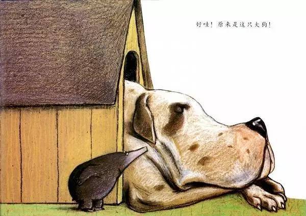 儿童绘本推荐《是谁嗯嗯在我的头上》插图18 儿童绘本推荐《是谁嗯嗯在我的头上》