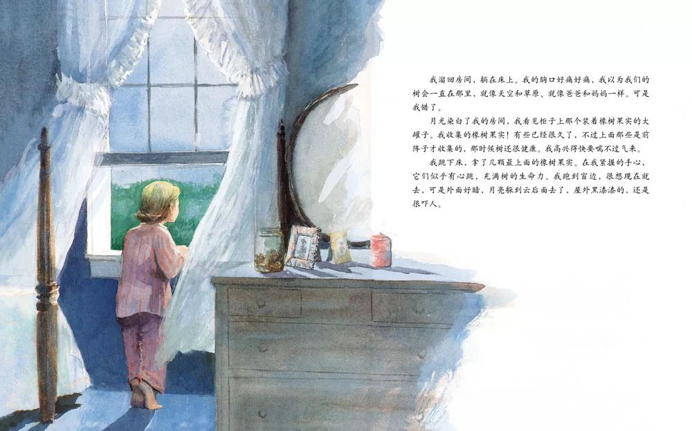 儿童绘本故事《艾莉丝的树》插图13 儿童绘本故事《艾莉丝的树》